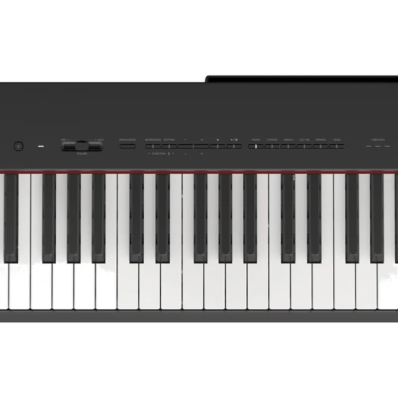 Yamaha P-225 control panel close-up